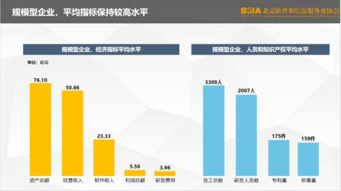2021北京軟件企業(yè)核心競爭力評價(jià)報(bào)告 發(fā)布